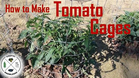 Homemade Tomato Cages  Useful Knowledge