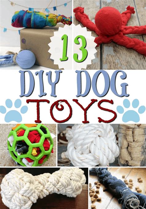 DIY Dog Toy  Useful Knowledge