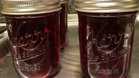 Hibiscus Jelly - How to Make and Can   Useful Knowledge